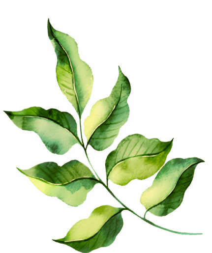 Darstellung einer Pflanze als Illustration zum Bühnenelement