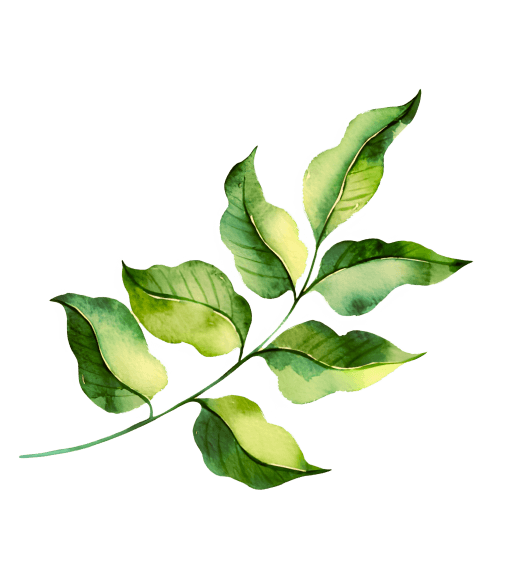 Darstellung einer Pflanze als Illustration zum Bühnenelement